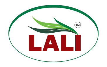 our brand logo